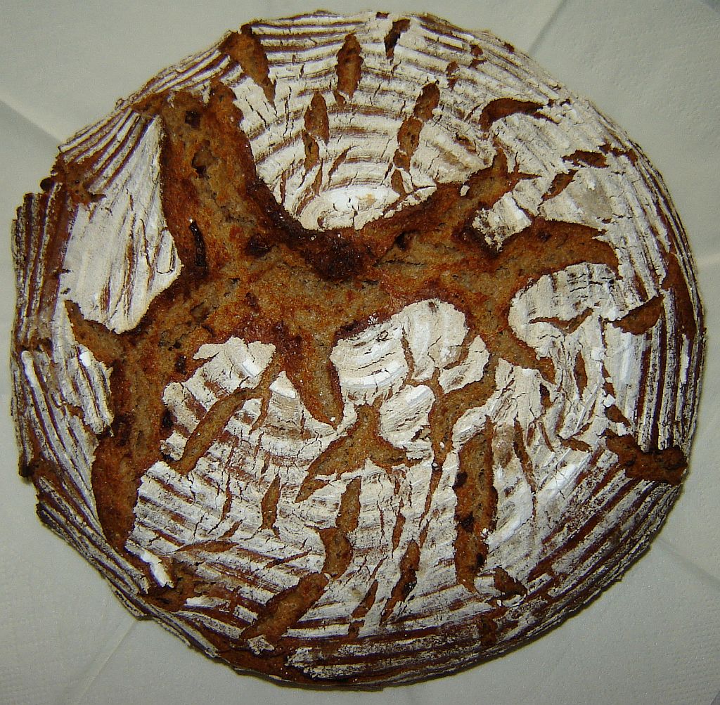 OBM12-13-09-08-17.jpg