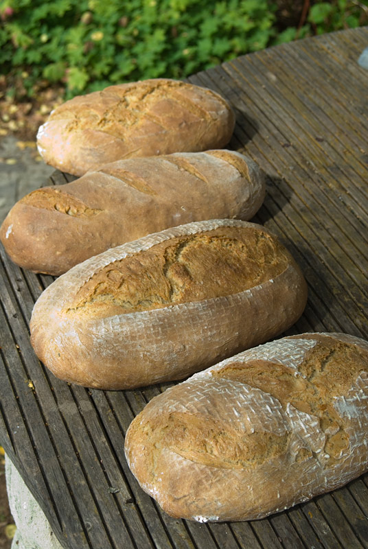 die "mal eben zwischendurch" Brote