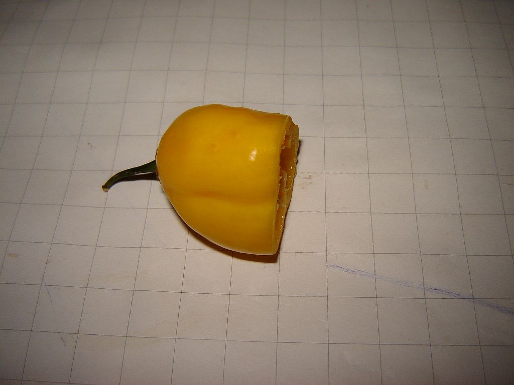 Habanero-Rest.jpg