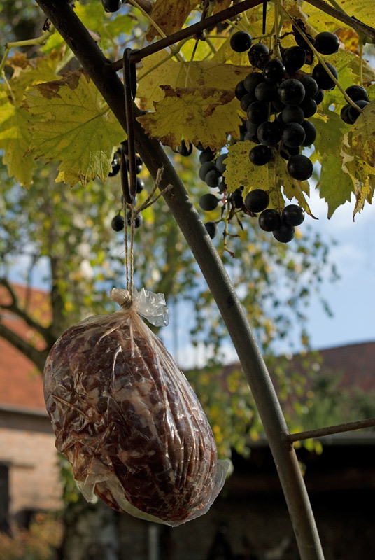 zukünftiger Dachsschinken