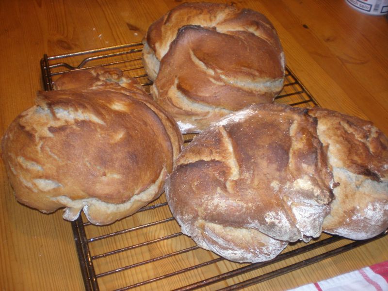 Holzofenbrot.JPG