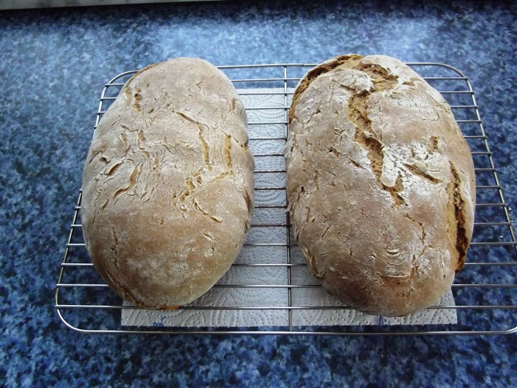 Rietberger Land...2.JPG