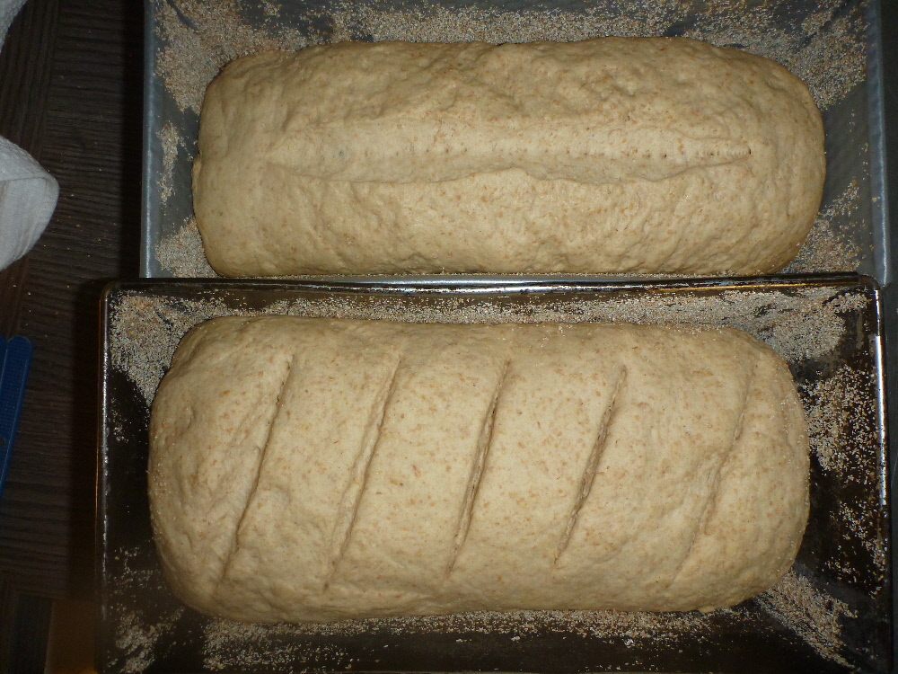 das Taostbrot
