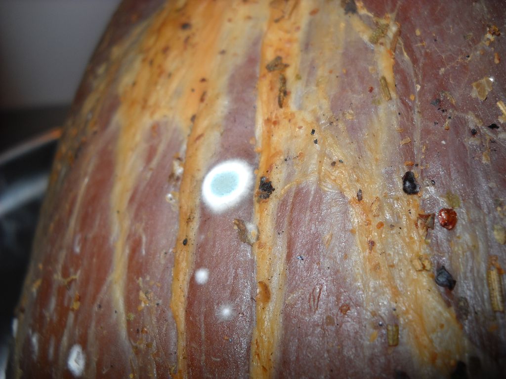 k-Gesammelte 013.jpg