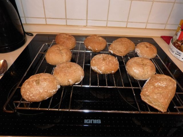 P1000212.JPG