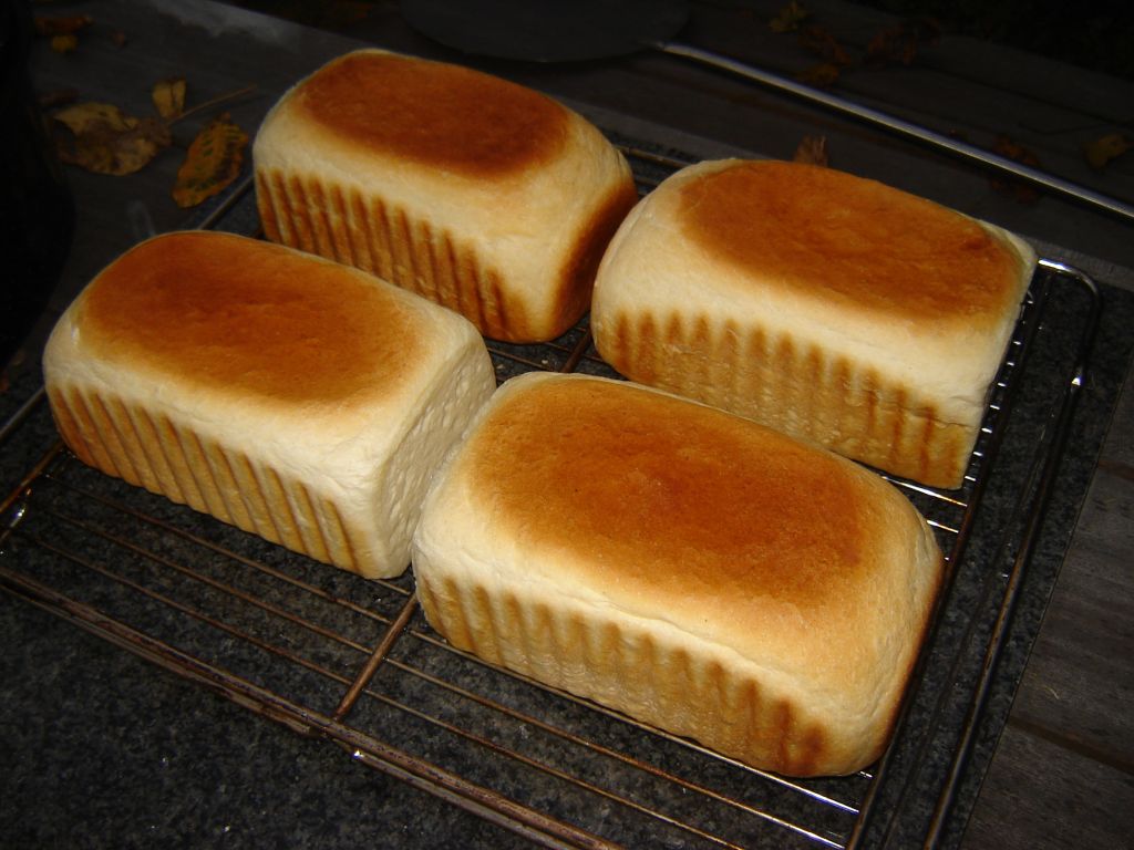 backtag01.jpg