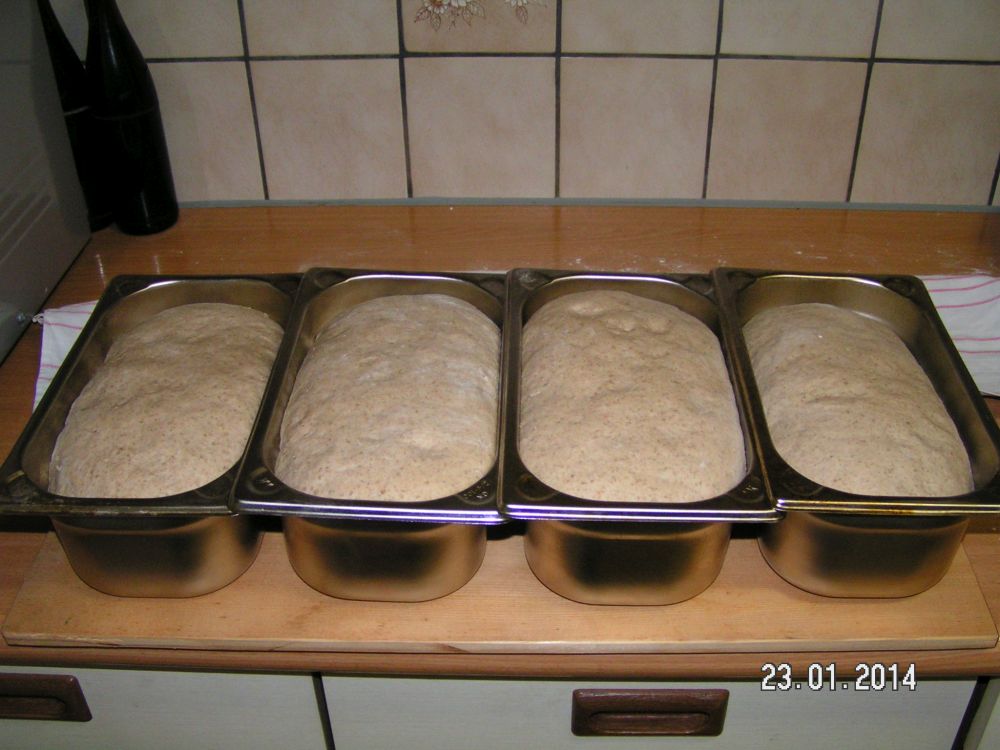 Brot 1-001.JPG