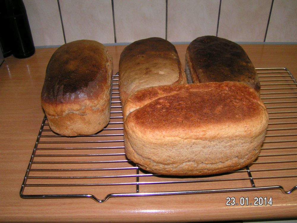 Brot 1-003.JPG