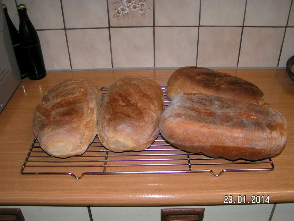 Brot 2-002.JPG