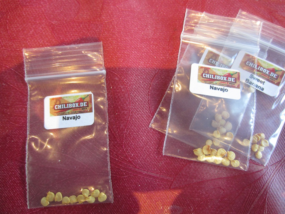6. Chillisamen.JPG