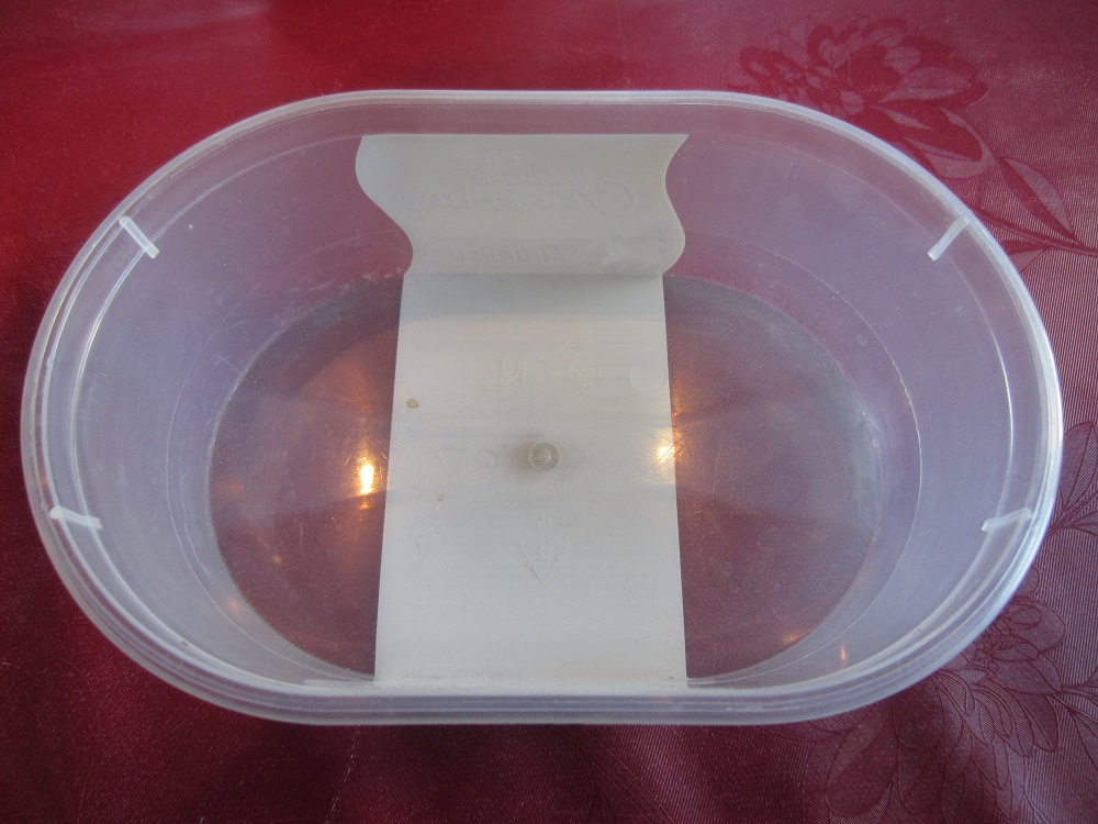 1. Minigewächshaus.JPG