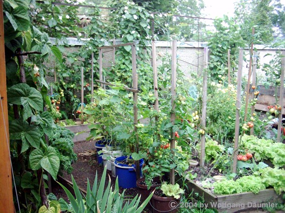 garten_perspektive_15_8.JPG