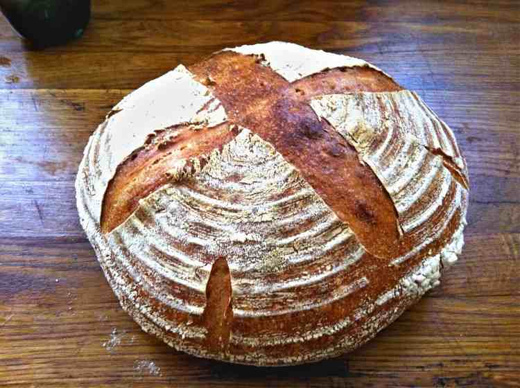 Brotversuch1.jpg