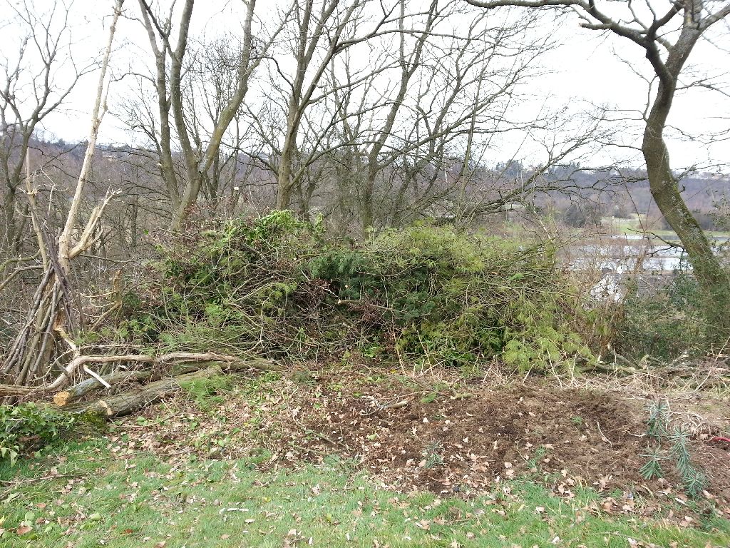 20140301_124046.jpg