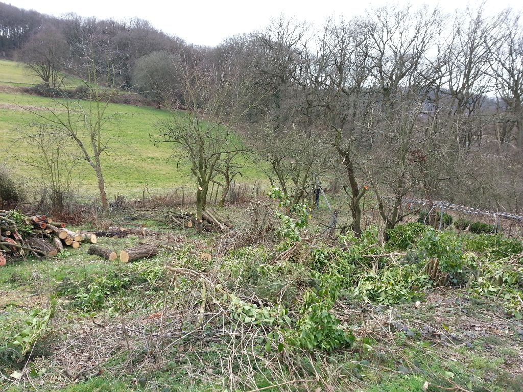 20140301_124101.jpg