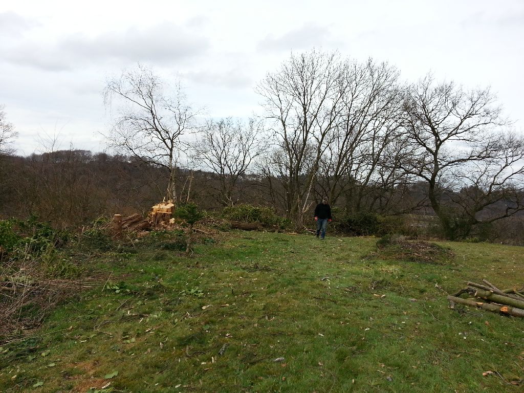 20140301_124113.jpg