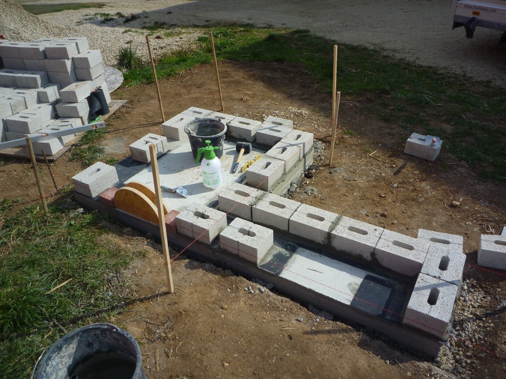 P1050161.jpg