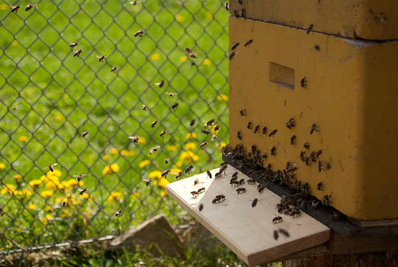 die kleine Hilfe wurde gleich angenommen