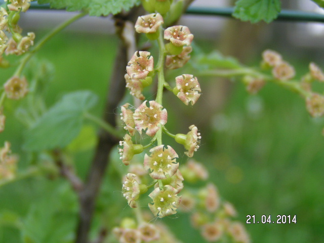PICT0024.JPG