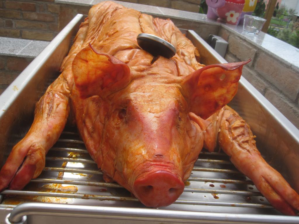 Spanferkel roh 1.jpg