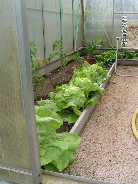 PICT0024.JPG