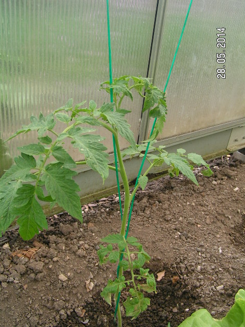 PICT0023.JPG