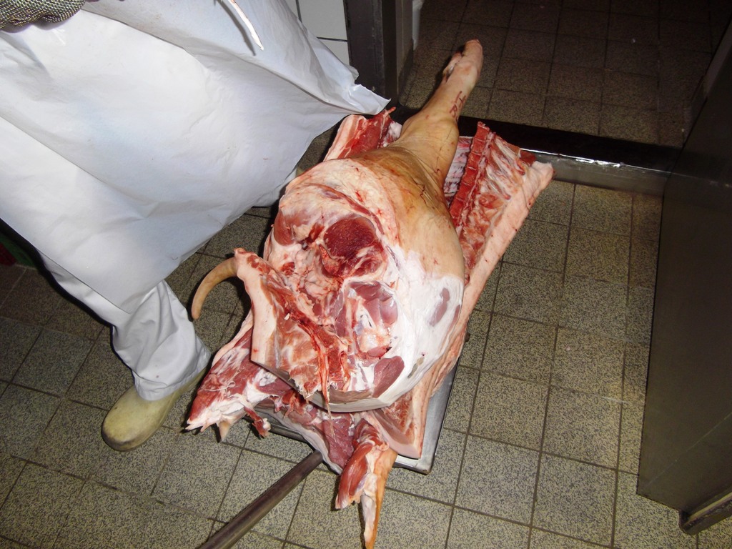 Beide &quot;Mittelteile&quot; und 1 Hinterteil