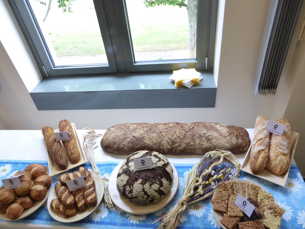 #P1000518.jpg