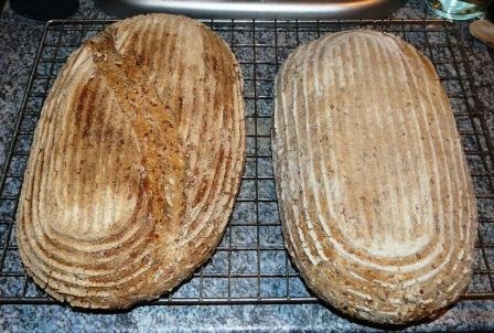 08 Five Grain Levain2.JPG