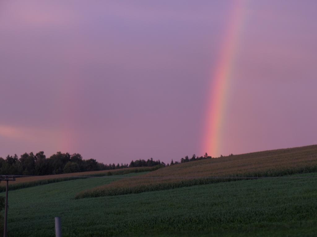 Und wieder hats mal geregnet und dieses mal von der schönen Seite!