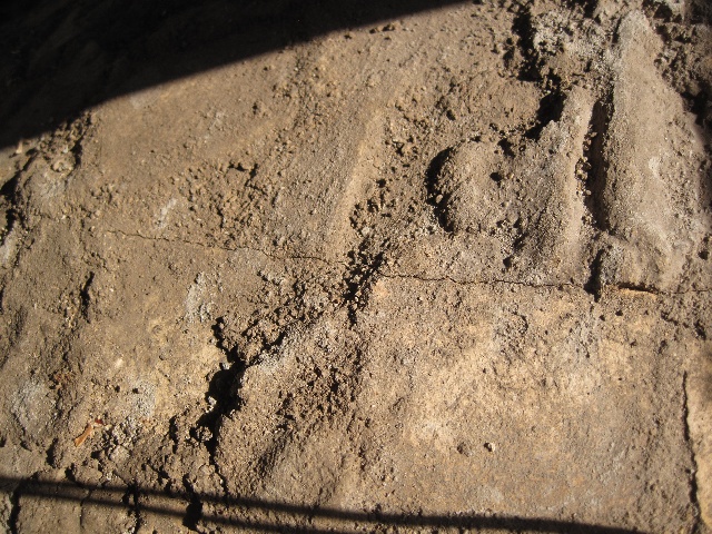ov_ofen011.jpg