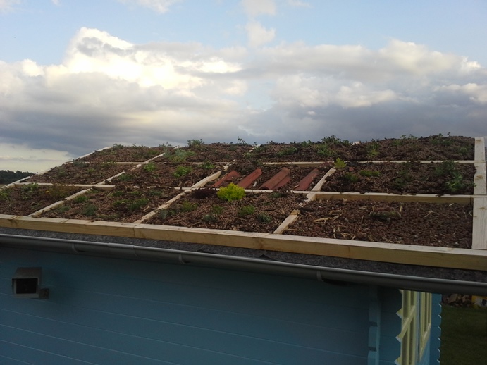 Dachbegrünung vorne.jpg