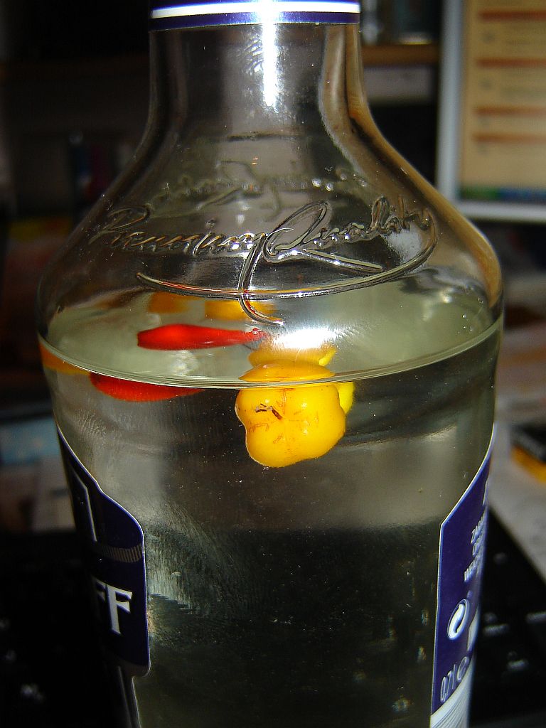 Chilis_in_Vodka_01.jpg
