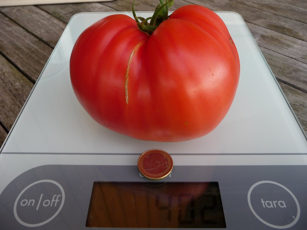 20140911.JPG