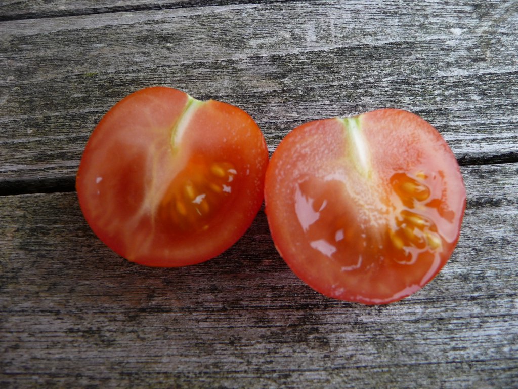20140913_03.JPG