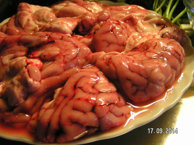 Hirnsuppe-001.JPG