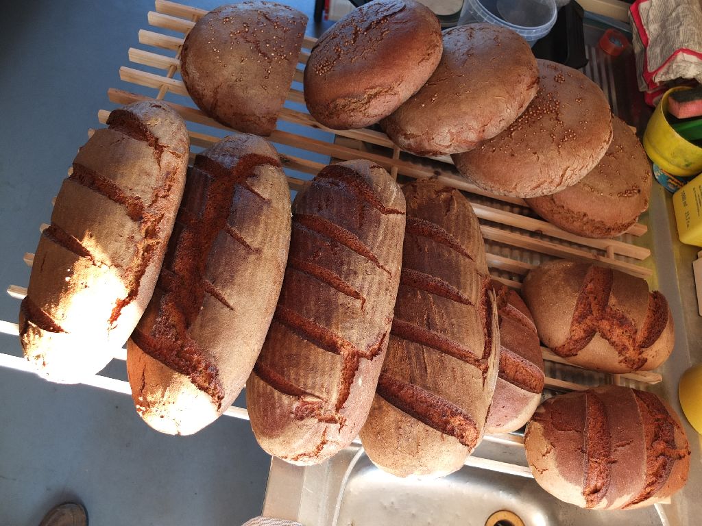 DSCF6553.JPG
