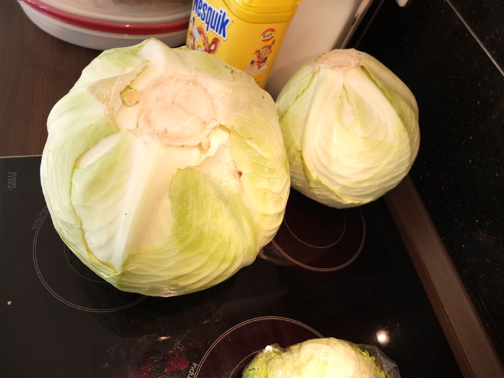 DSCF6651.JPG