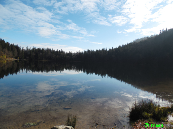 Feldsee 2
