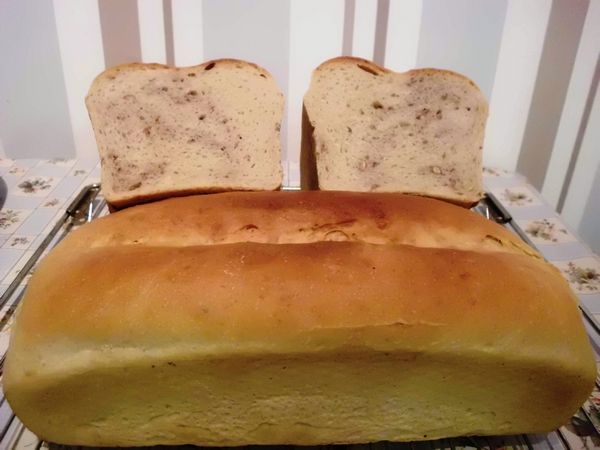 Das sieht schon nach Kastenweißbrot aus!