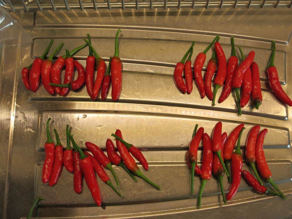 Chiliernte 2014 2.jpg