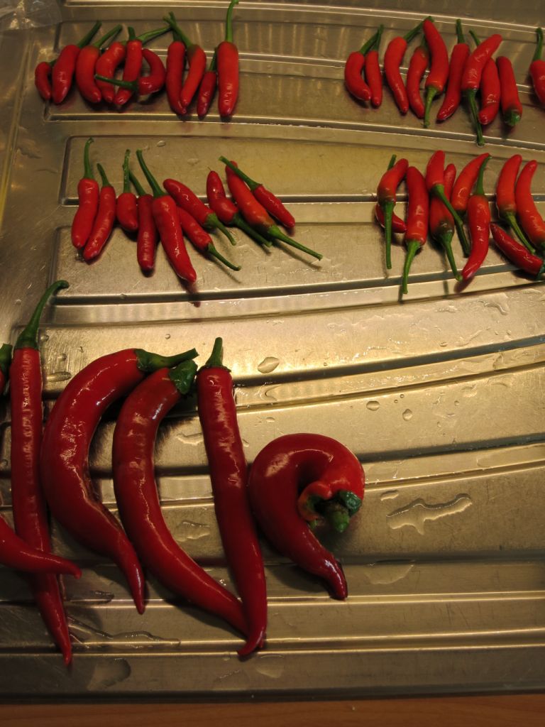 Chiliernte 2014.jpg