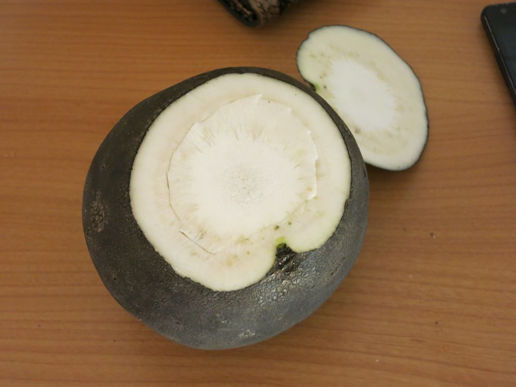 Schwarzer Rettich getrennt1.jpg