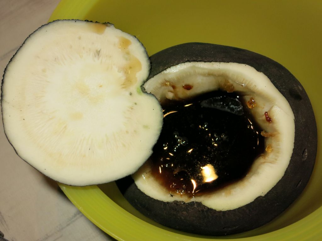 Nach ein paar Stunden.jpg