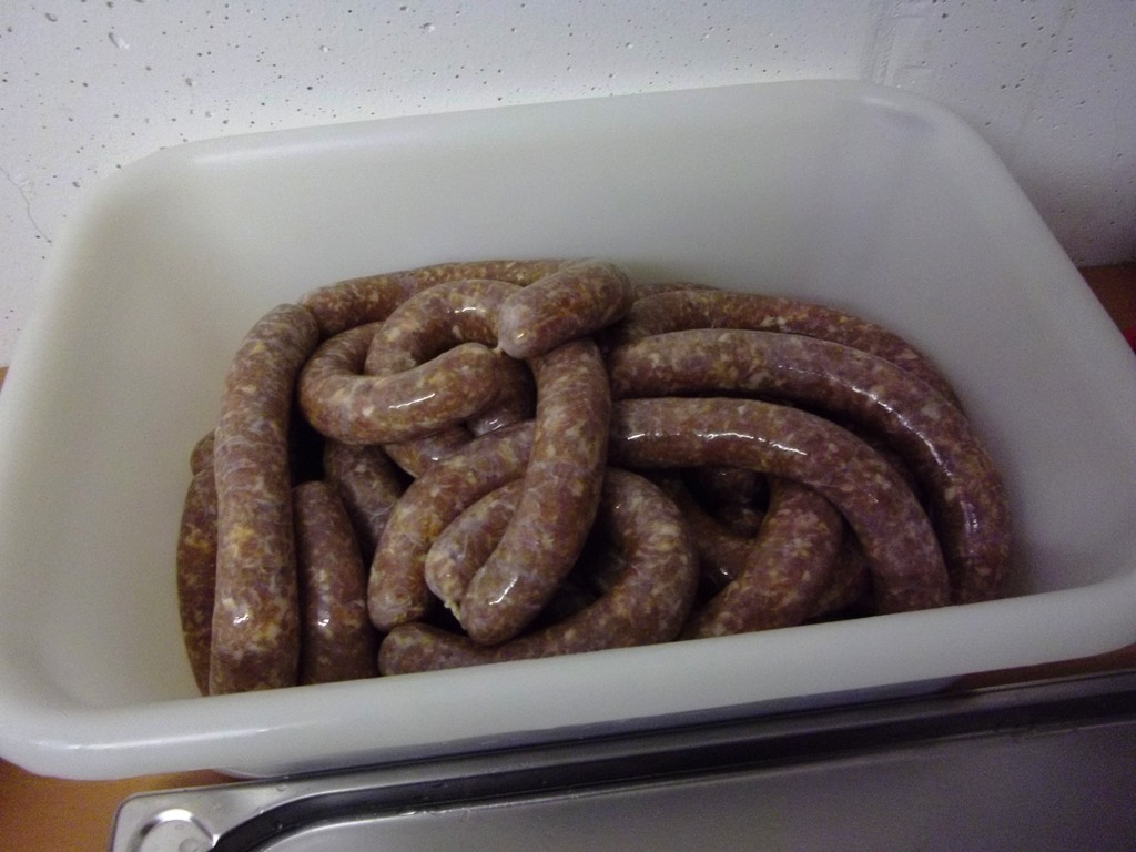 Die ersten "Würmer"