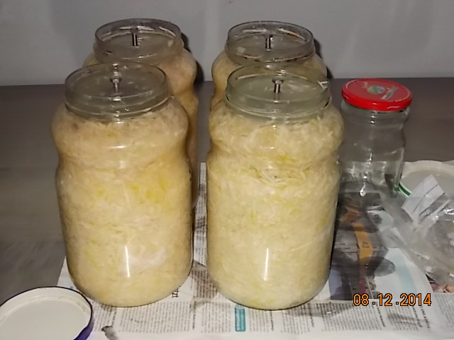 DSCN0263.JPG