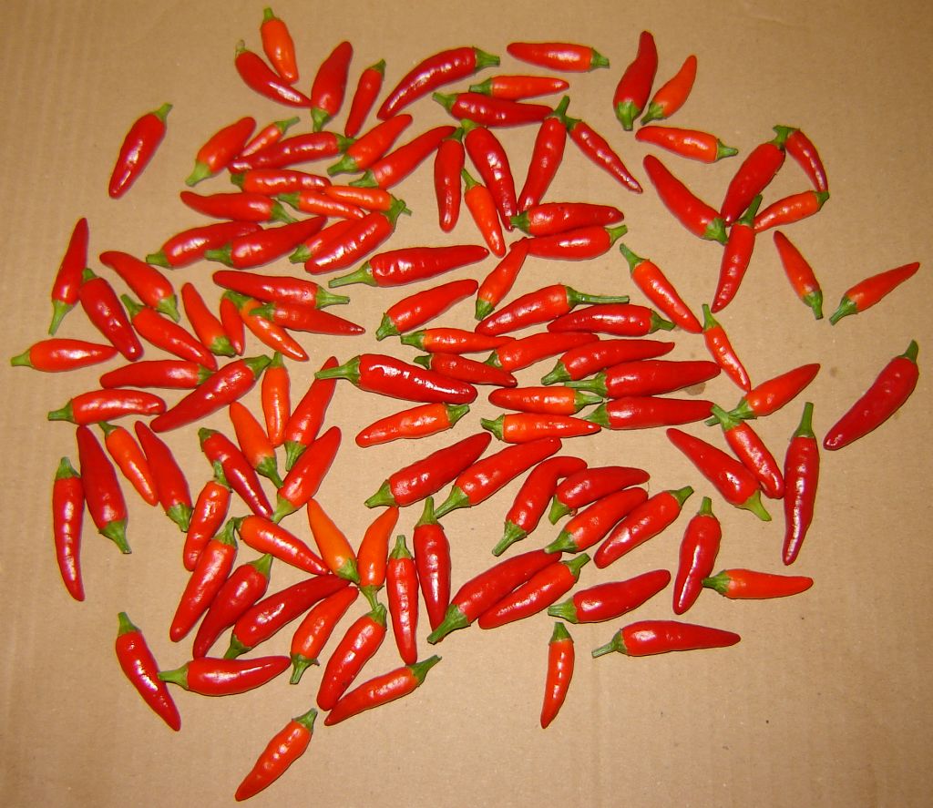 Chilis_2014_Finale_01.jpg