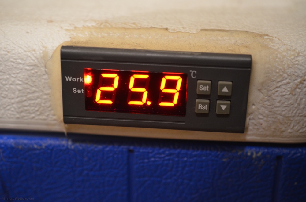 Kürbissuppe asiatisch Kokosmilch Zitronengras Ingwer Black Tiger Garnelen3 (1).jpg