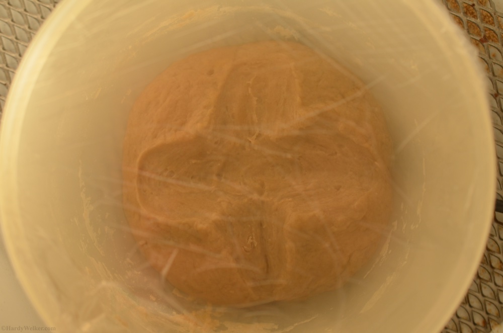 Kürbissuppe asiatisch Kokosmilch Zitronengras Ingwer Black Tiger Garnelen1 (1).jpg