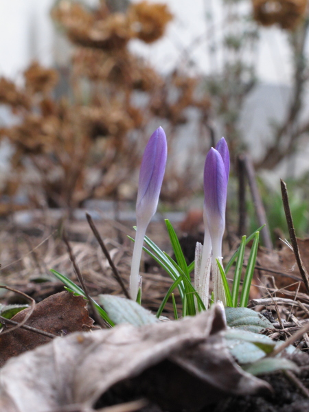 Ich schau' schon frech raus...